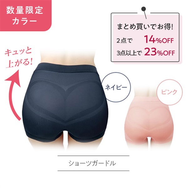 骨盤パンツ　全健　ヒップアップパワーガード ベージュMサイズ（2枚セット) 限定色】美姿勢ヒップアップ骨盤ショーツガードル | 豆腐の盛田屋<公式