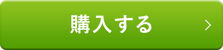 注文する
