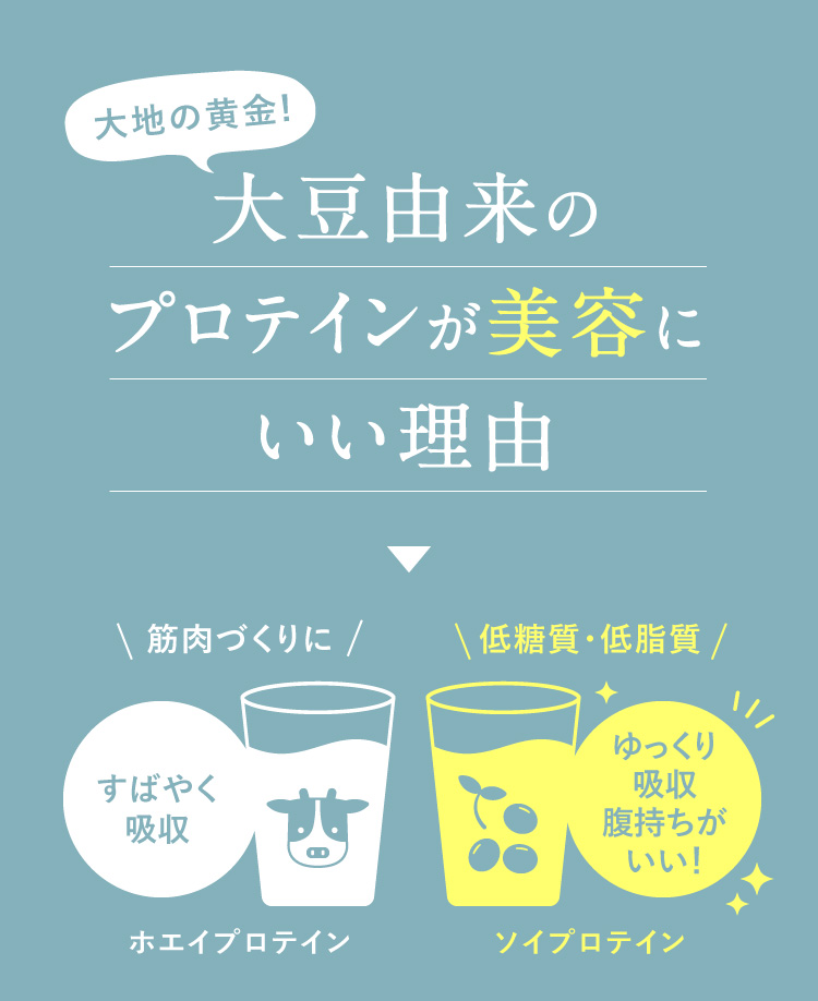 大地の黄金！大豆由来のプロテインが美容にいい理由