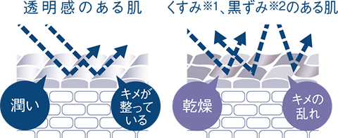 豆腐の盛田屋　つくも　シリーズセット つくもシリーズ｜豆腐の盛田屋<公式>豆乳スキンケア化粧品