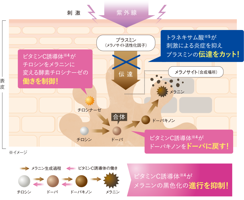 ❤️専用❤️豆腐の盛田屋つくも美白2点セット つくもシリーズ｜豆腐の盛田屋<公式>豆乳スキンケア化粧品