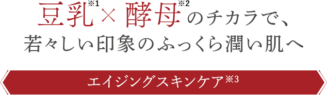 豆乳※1×酵母※2のチカラで、若々しい印象のふっくら潤いはだへ エイジングスキンケア※3 ※1  乳酸桿菌／豆乳発酵液（保湿成分）　※2  酵母エキス（保湿成分） ※3 年齢に応じたうるおいを与えるスキンケア