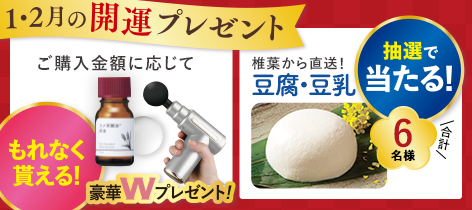 【1・2月の開運プレゼント】ご購入金額に応じてもれなく貰える!豪華Wプレゼント! 抽選で椎葉から直送!豆腐・豆乳が当たる!