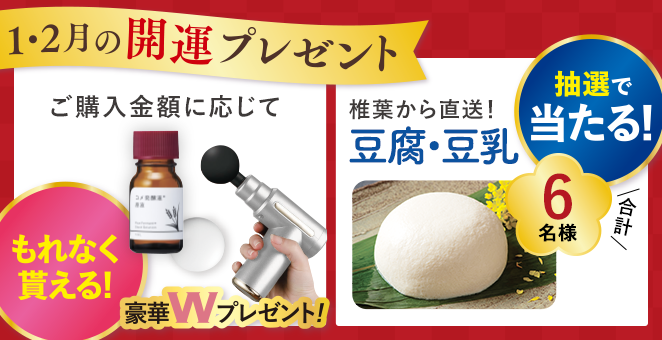 【1・2月の開運プレゼント】ご購入金額に応じてもれなく貰える!豪華Wプレゼント! 抽選で椎葉から直送!豆腐・豆乳が当たる!