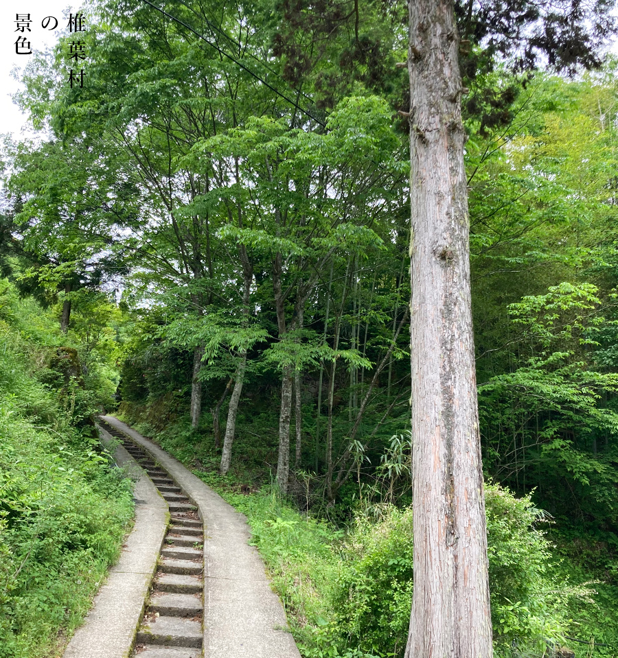 椎葉村の景色