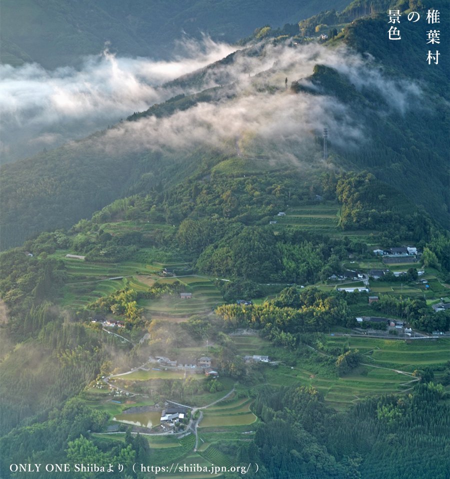 椎葉村の景色