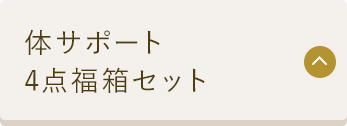 体サポート 4点福箱セット