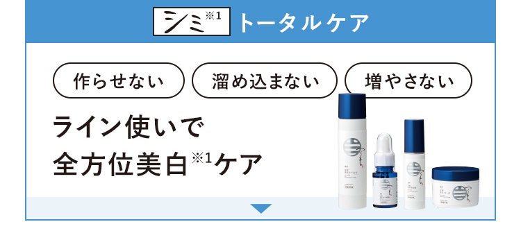 シミ※2 トータルケア