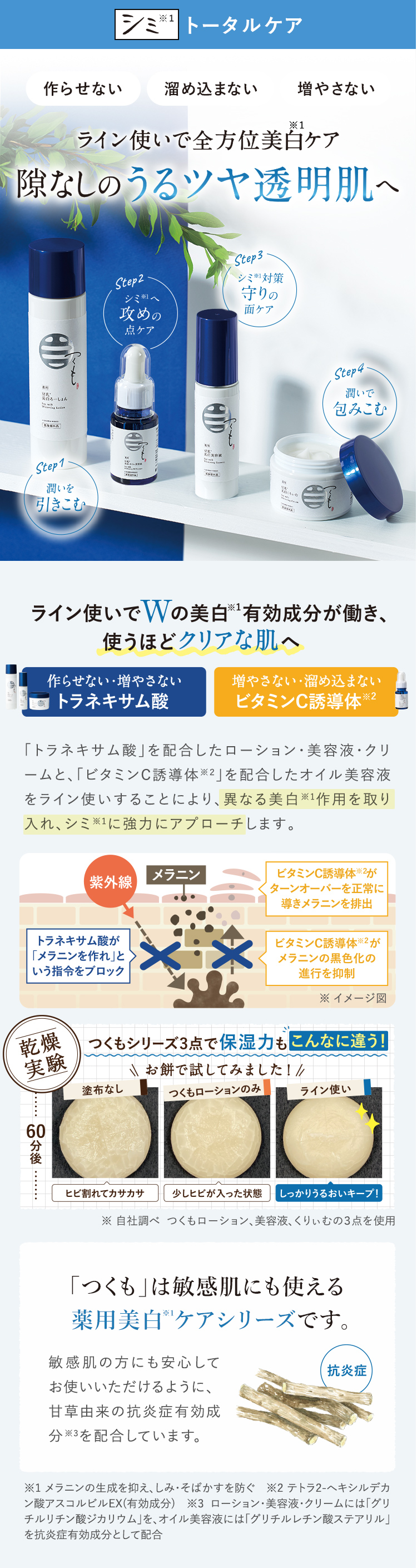 シミ※1 トータルケア