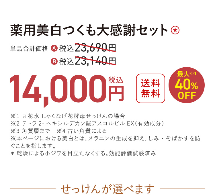 薬用美白つくも大感謝セット ★ 送料無料 最大40%OFF 単品合計価格 A 税込23,690円 B 税込23,140円 → 税込14,000円