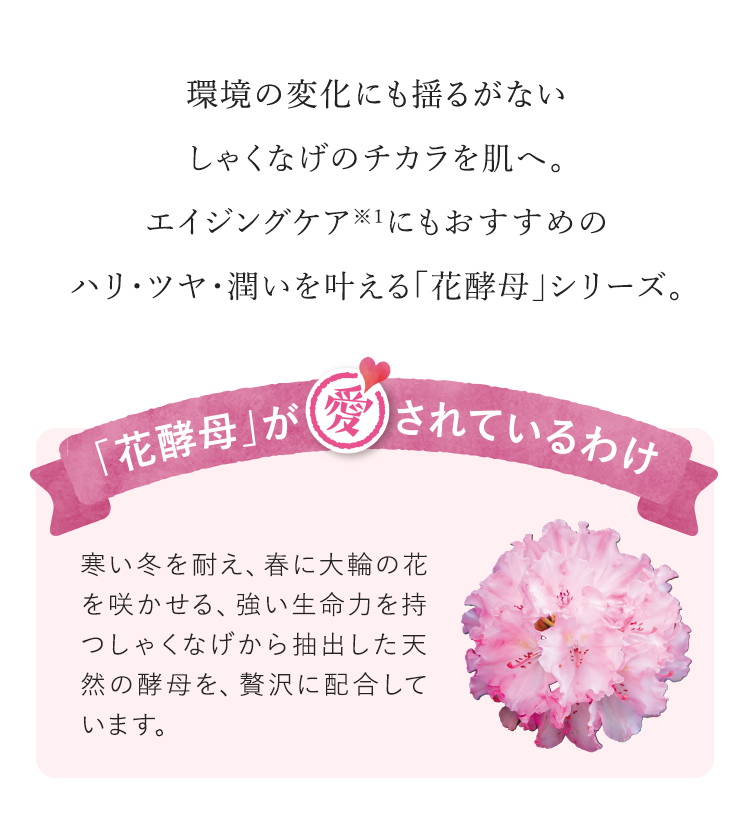 環境の変化にも揺るがないしゃくなげのチカラを肌へ。エイジングケア※１にもおすすめのハリ・ツヤ・潤いを叶える「花酵母」シリーズ。 「花酵母」が愛されているわけ