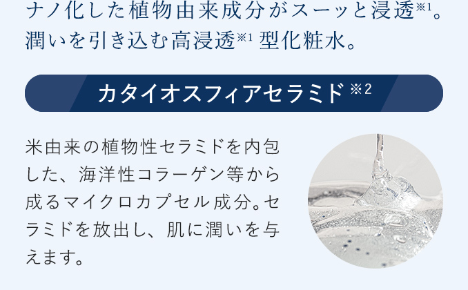 ナノ化した植物由来成分がスーッと浸透。潤いを引き込む高浸透型化粧水。