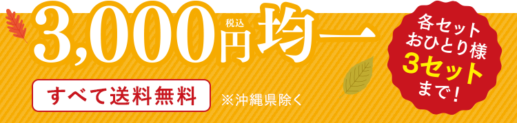 税込3,000円均一 各セットおひとり様 3セットまで! すべて送料無料
