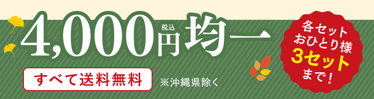 税込4,000円均一 各セットおひとり様 3セットまで! すべて送料無料