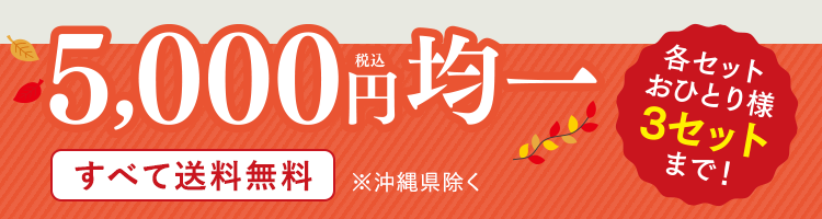 税込5,000円均一 各セットおひとり様 3セットまで! すべて送料無料