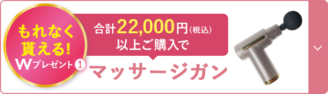 もれなく貰える! Wプレゼント1 合計22,000円(税込) 以上ご購入で マッサージガン