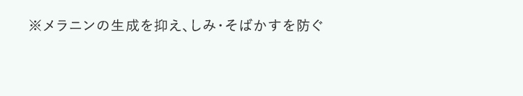 ※メラニンの生成を抑え、しみ・そばかすを防ぐ