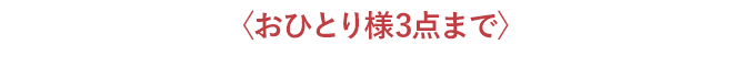 〈おひとり様3点まで〉