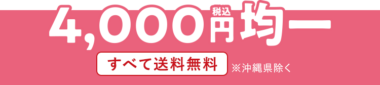 税込4,000円均一 すべて送料無料※沖縄県除く