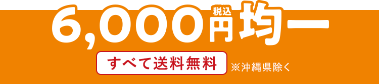 税込6,000円均一 すべて送料無料※沖縄県除く
