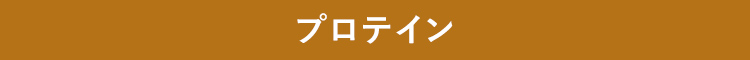 プロテイン