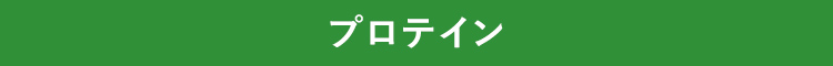 プロテイン