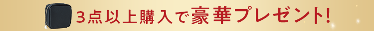 4点以上購入で豪華プレゼント！