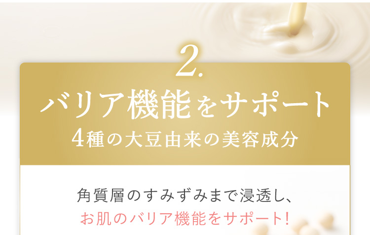 2.バリア機能を高める 4種の大豆由来の美容成分