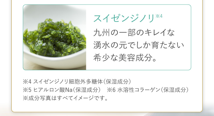 スイゼンジノリ