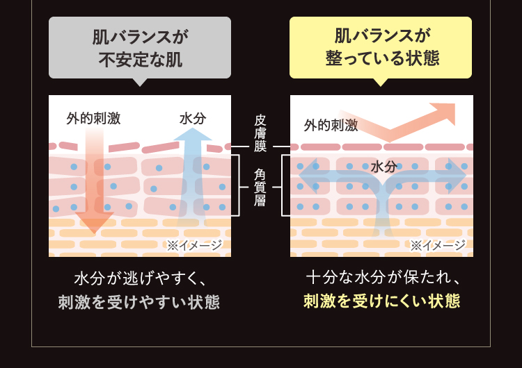 肌バランスが不安定な肌　肌バランスが整っている状態