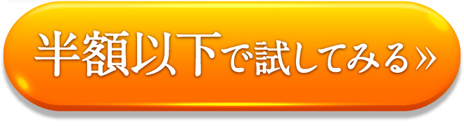 半額以下で試してみる