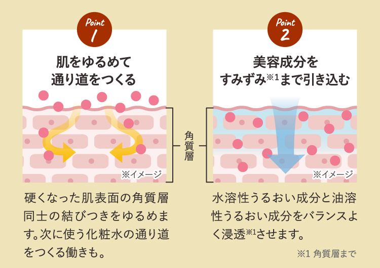 Point1 肌をゆるめて通り道をつくる Point2 美容成分をすみずみ※1まで引き込む
