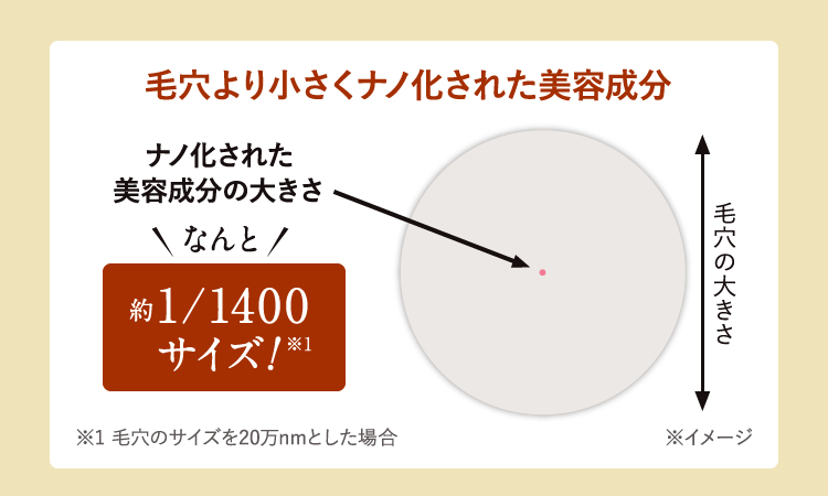毛穴より小さくナノ化された美容成分