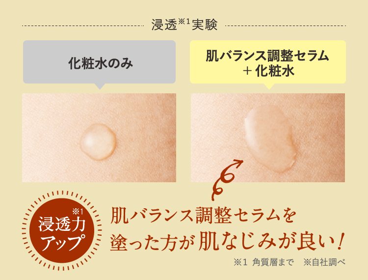 化粧水のみ 肌バランス調整セラム＋化粧水