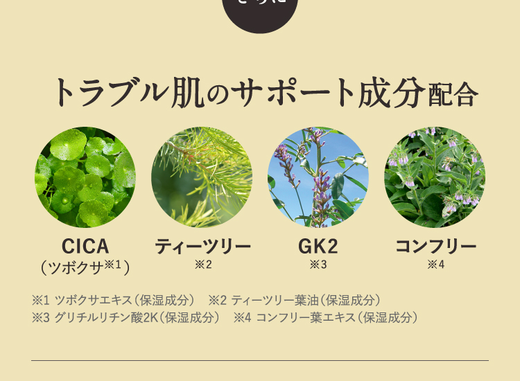 トラブル肌のサポート成分配合