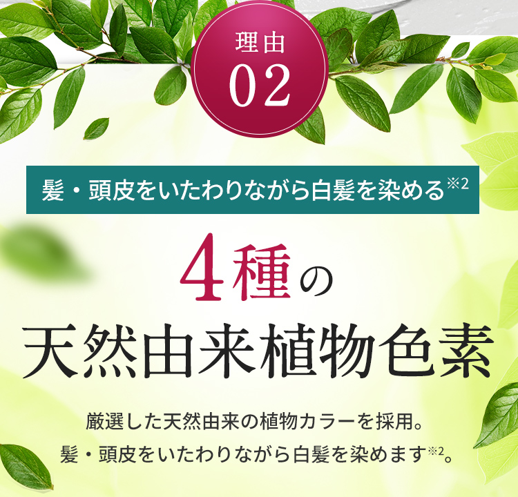 理由02 4種の天然由来植物色素