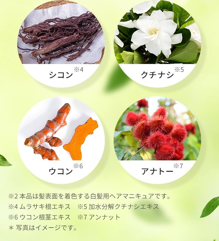 シコン クチナシ ウコン アナトー