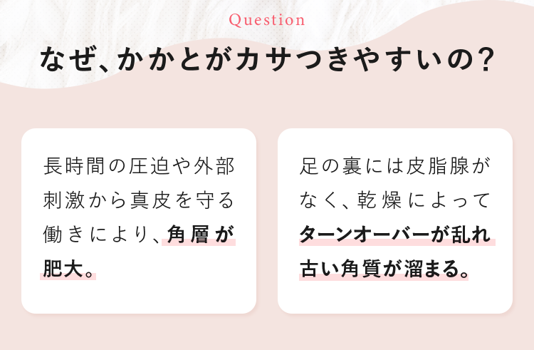 なぜ、かかとがカサつきやすいの？ [長時間の圧迫や外部刺激から真皮を守る働きにより、角層が肥大。][足の裏には皮脂腺がなく、乾燥によってターンオーバーが乱れ古い角質が溜まる。]