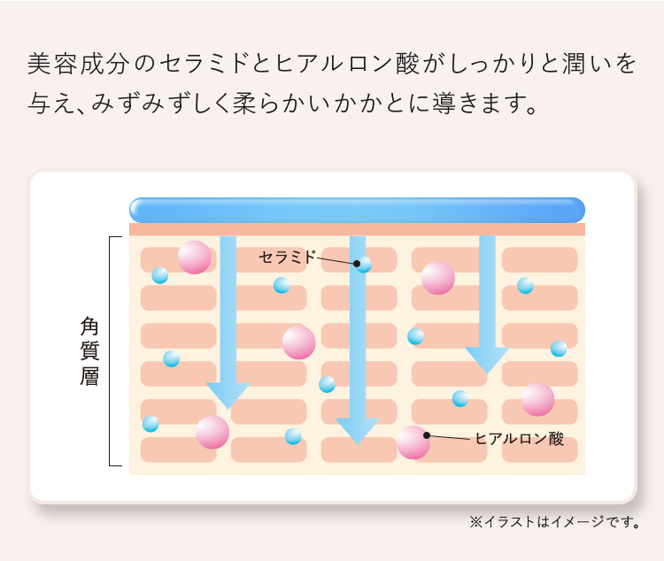 美容成分のセラミドとヒアルロン酸がしっかりと潤いを与え、みずみずしく柔らかいかかとに導きます。 ※イラストはイメージです。