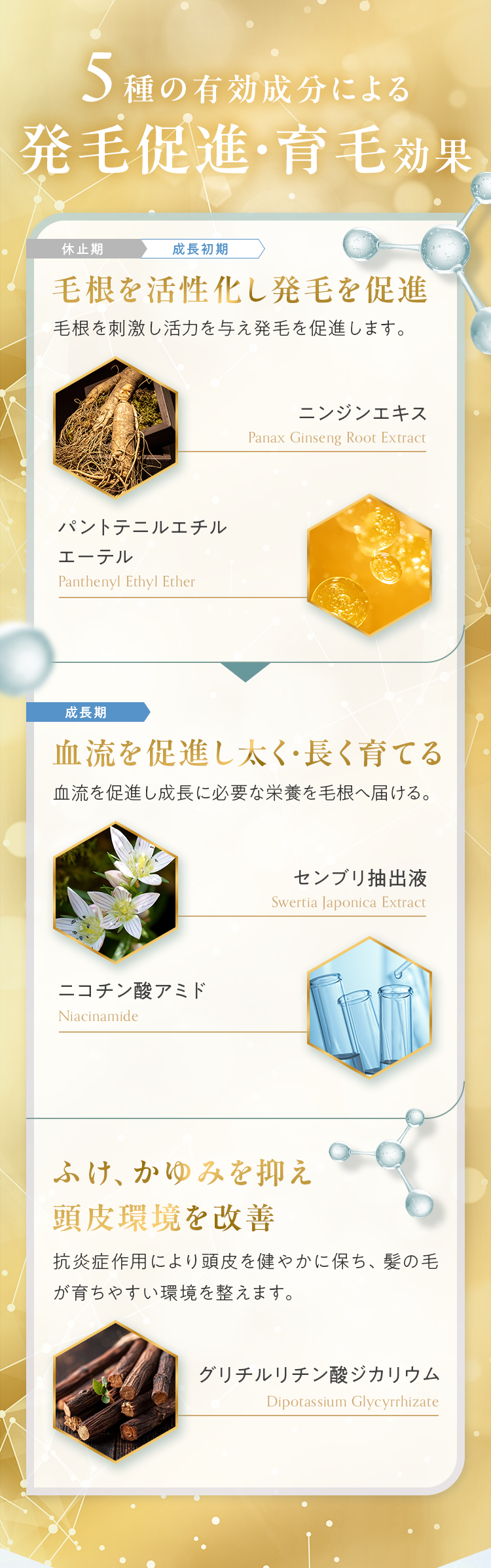5種の有効成分による発毛促進・育毛効果