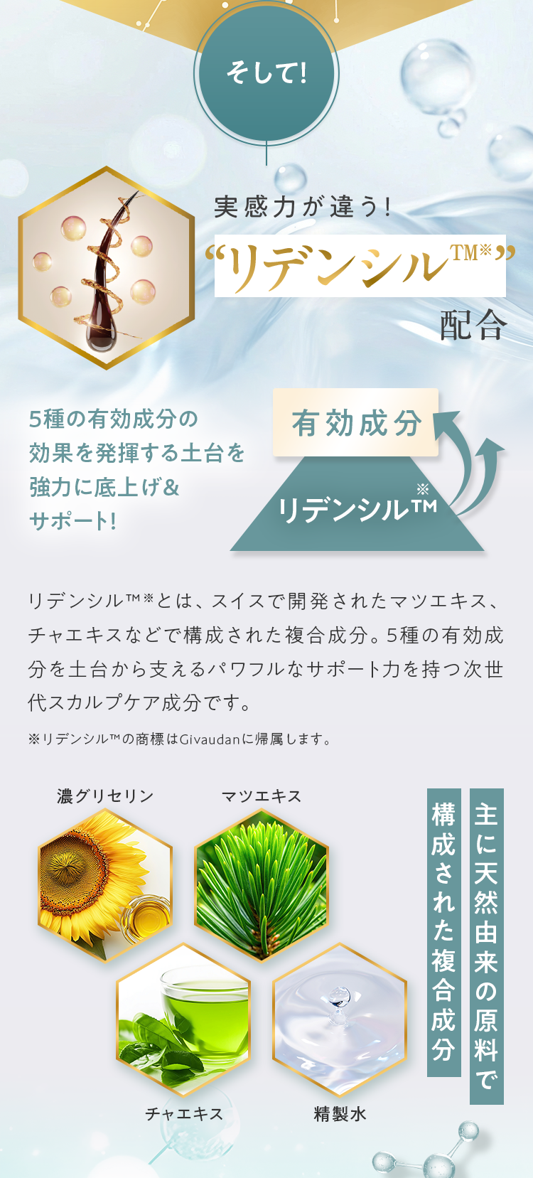 そして！実感力が違う！“リデンシル“配合 主に天然由来の原料で構成された複合成分