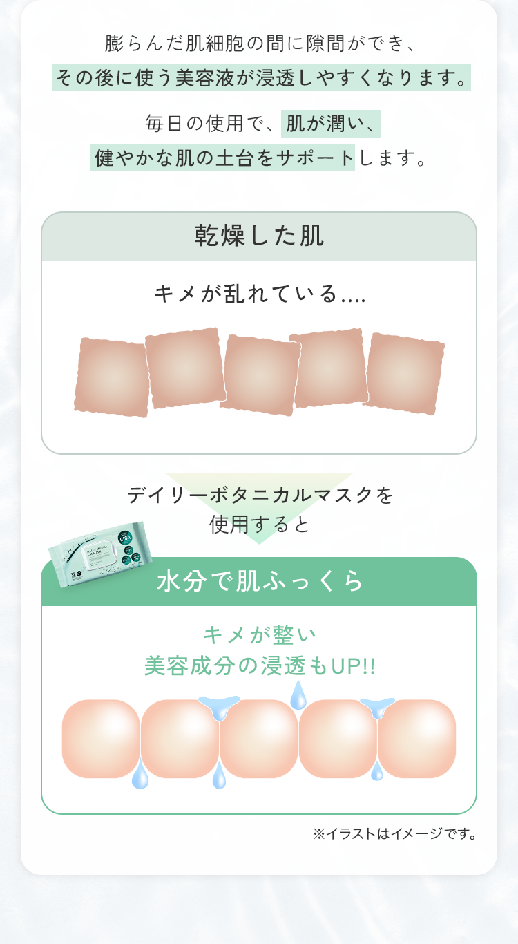 膨らんだ肌細胞の間に隙間ができ、その後に使う美容液が浸透しやすくなります。毎日の使用で、肌が潤い、健やかな肌の土台をサポートします。乾燥した肌 キメが乱れている.... デイリーボタニカルマスクを使用すると 水分で肌ふっくら キメが整い美容成分の浸透もUP!!
