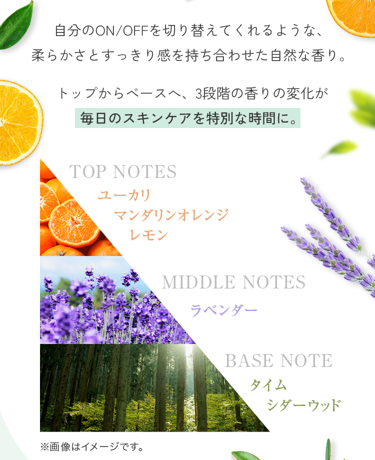自分のON/OFFを切り替えてくれるような、柔らかさとすっきり感を持ち合わせた自然な香り。トップからベースへ、3段階の香りの変化が毎日のスキンケアを特別な時間に。