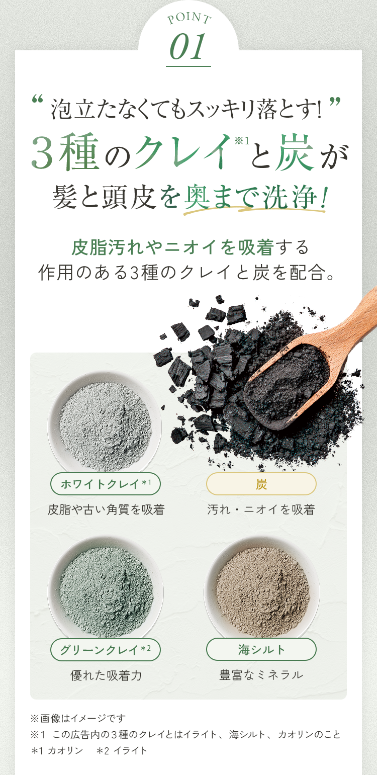 POINT01 泡立たなくてもスッキリ落とす！３種のクレイと炭が髪と頭皮を奥まで洗浄！
