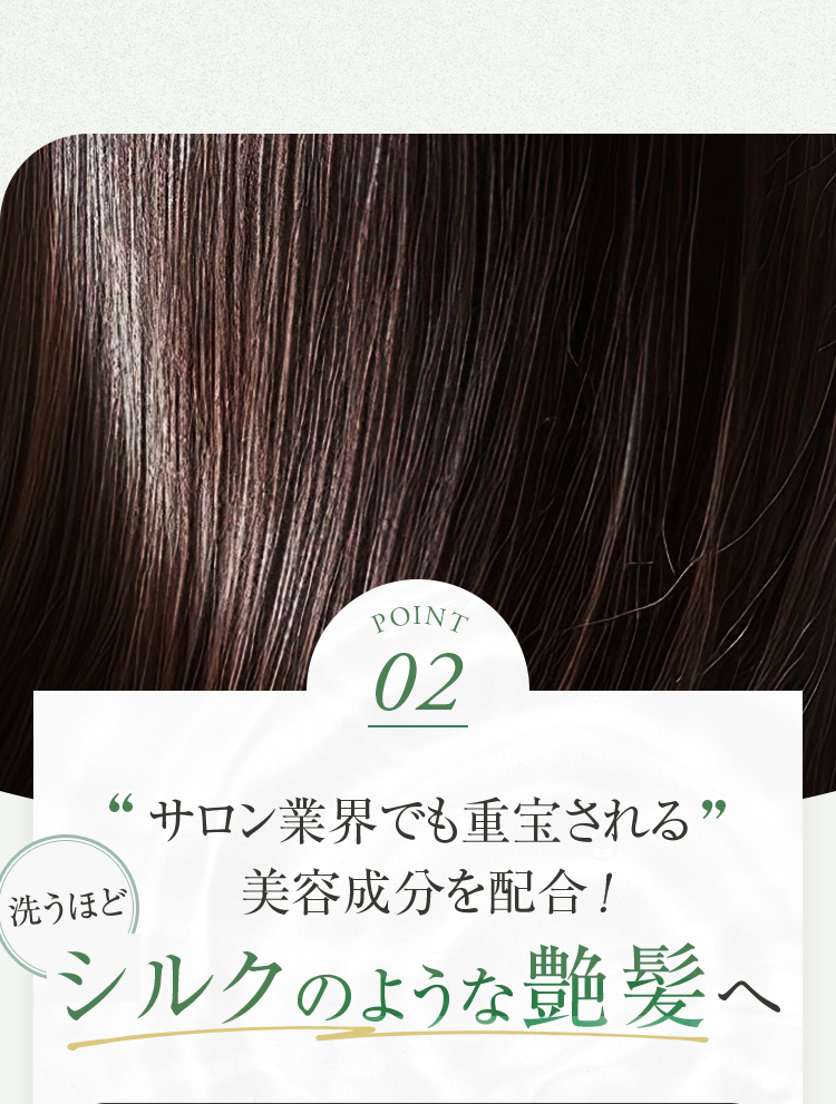 POINT02 サロン業界でも重宝される美容成分を配合！シルクのような艶髪へ