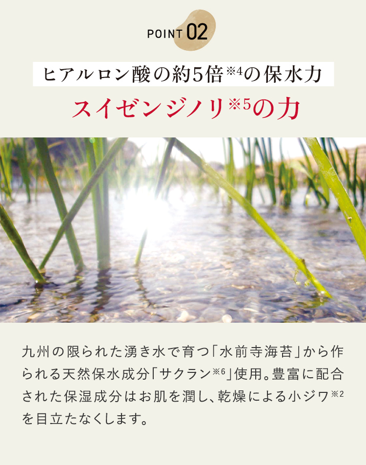 POINT 02 ヒアルロン酸の約5倍※4の保水力 スイゼンジノリ※5の力