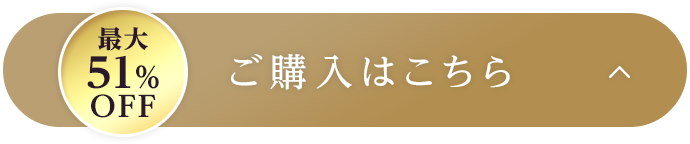 最大51%OFF ご購入はこちら