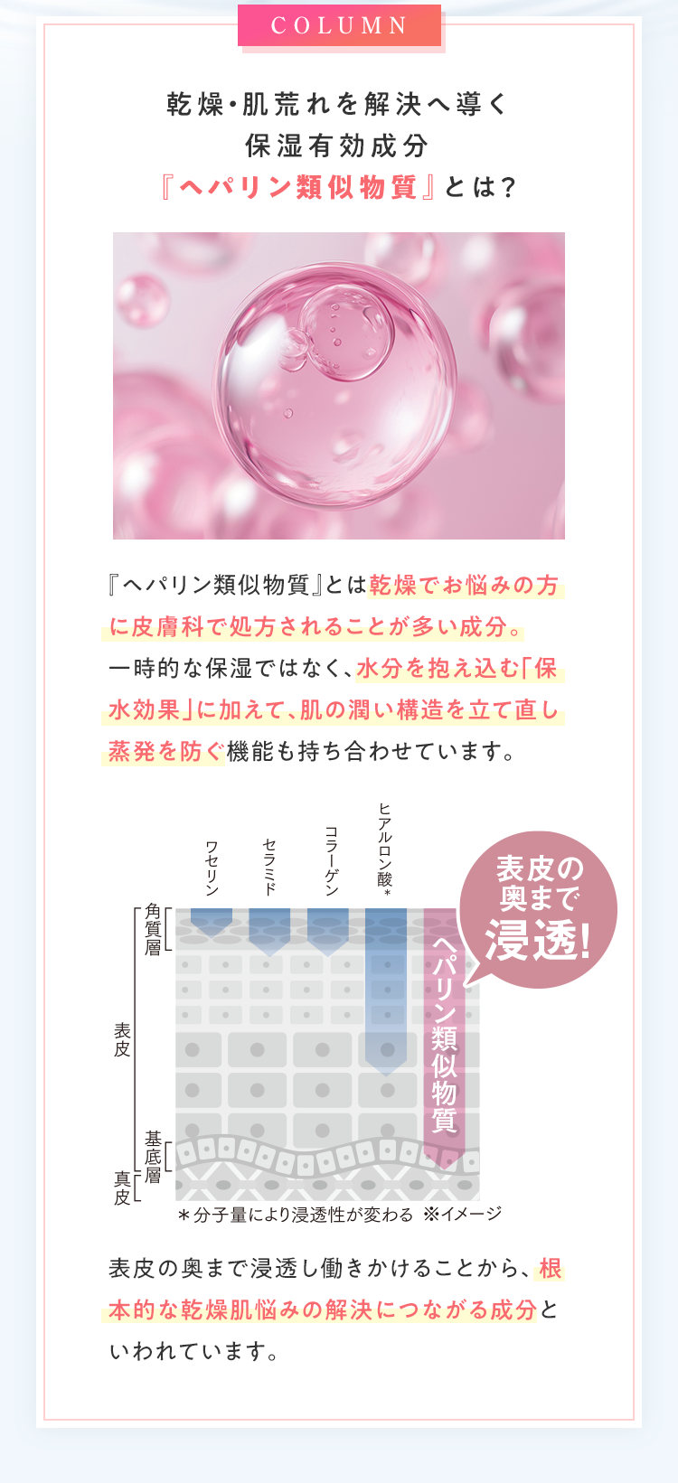 COLUMN 乾燥・肌荒れを解決へ導く保湿有効成分『ヘパリン類似物質』とは？