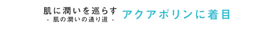 肌に潤いを巡らす-  肌の潤いの通り道 -アクアポリンに着目
