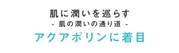 肌に潤いを巡らす-  肌の潤いの通り道 -アクアポリンに着目